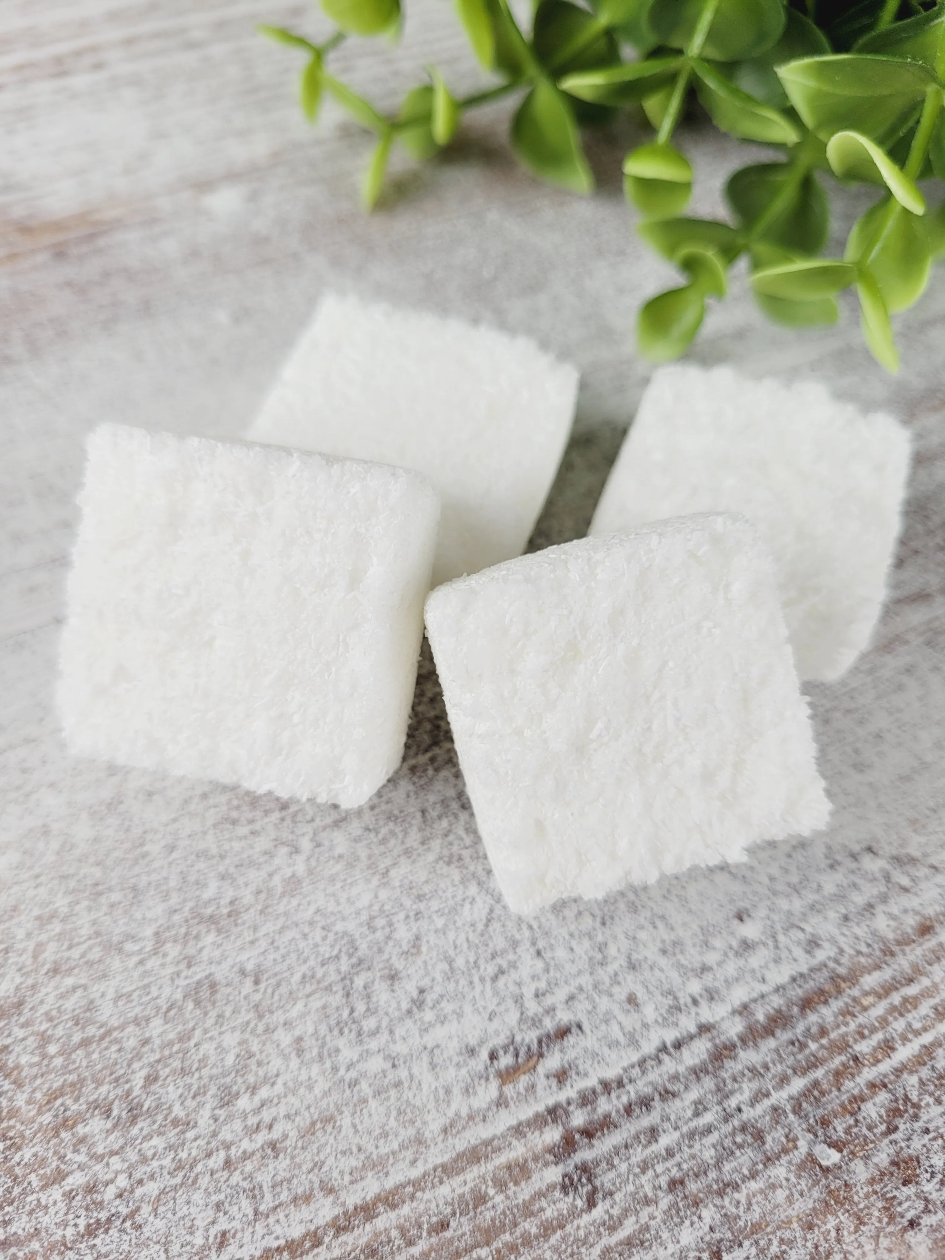Wild Comfort Body Care, All Natural Eco Friendly Dishwasher Tabs (Bulk)